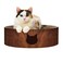 çŒ«å£± Necoichi Cat Scratcher Bowl for Indoor Cats Cat Scratching Lounger with Reversible Usability and Extra Comfort for Lounge Cardboard Bed Couch Regular Dark Cherry
