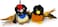 Pet Craft Supply Kitty Condor Crazy Catnip Funny Cuddling Chasing Hunting Irresistible Stimulating Soft Plush Boredom Relief Interactive Cat Toy with Realistic Feathers All Breed Sizes Pack of 2