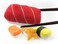 munchiecat Sushi Catnip Toy for Cats USA Made Engaging Sushi Design for Pouncing and Play Kittens 4Pc Rainbow