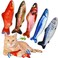 PJLJY 5Pcs Catnip Toy Plush Fish Cat Toy Cat Chew Toy Catnip Filled Cartoon Fish with Bell Inside for Interactive Kitty Chew Toys Cat Teething Cat Exercise