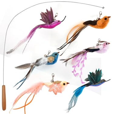 miwoowim Interactive Cat Toys for Indoor Cats 35 Steel Wire and 6PCS Feather Bird RefillsTeaser ToyCat Wand ToyFeathers Bells Realistic Bird Impression 7 PCS
