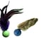 CoolCyberCats Pong Pack Cat Toys Feather Pong Fur Pong