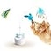 Migipaws Interactive Cat Toys Butterfly Feather Kitten ToyAutomatic Spinning Ball for Indoor Bored CatsSelf Play Intelligent Touch Senser 3 Replacements