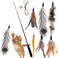 APSUAE Retractable Cat Wand Toys Interactive Feather Wand with Bell for IndoorOutdoor Cats 8 Pack
