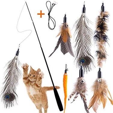 APSUAE Retractable Cat Wand Toys Interactive Feather Wand with Bell for IndoorOutdoor Cats 8 Pack