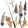 APSUAE Retractable Cat Wand Toys Interactive Feather Wand with Bell for IndoorOutdoor Cats 8 Pack