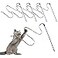 Molain Cat Wand Stick Toy 5pcs Rainbow Wand for Kittens Training Interactive Cat Exerciser Playing 30cm Leopard Print