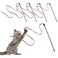 Molain Cat Wand Stick Toy 5pcs Rainbow Wand for Kittens Training Interactive Cat Exerciser Playing 30cm Leopard Print