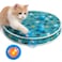 Huimpet Interactive Cat Toys Play Mat with Automatic Motion Balls LED Lights Bird Chirping Sound 3 Speed Levels Indoor Enrichment Cat Pattern Design