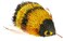 GoCat Go Cat Da Bee