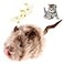 Gigwi Chirpy Cat Squeak Toy Interactive Mouse Cat Toy with Melody Chaser for Kitten Play and Boredom Relief