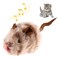 Gigwi Chirpy Cat Squeak Toy Interactive Mouse Cat Toy with Melody Chaser for Kitten Play and Boredom Relief