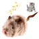 Gigwi Chirpy Cat Squeak Toy Interactive Mouse Cat Toy with Melody Chaser for Kitten Play and Boredom Relief