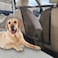 ROCKFEELTEE Universal Dog Car Net Barrier Sturdy Mesh Easy Install Breathable Design Easy to Clean Flexible Bungee Cords for Adjustable Fit 2323 Black