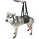 AGON Canine Dog Sling Carrier Support Back Legs Hip Knee Hock Joint Harness to Help Lift Dogs Rear Aid and Old K9 Cruciate Small Black