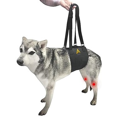 AGON Canine Dog Sling Carrier Support Back Legs Hip Knee Hock Joint Harness to Help Lift Dogs Rear Aid and Old K9 Cruciate Small Black