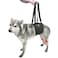 AGON Canine Dog Sling Carrier Support Back Legs Hip Knee Hock Joint Harness to Help Lift Dogs Rear Aid and Old K9 Cruciate Small Black
