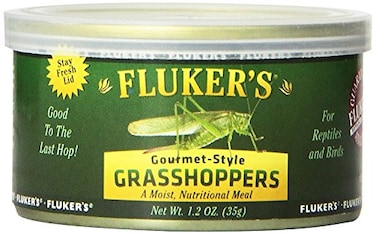 Fluker's Flukers Gourmet Canned Food for Reptiles Fish Birds and Small Animals Grass Hoppers 12 oz