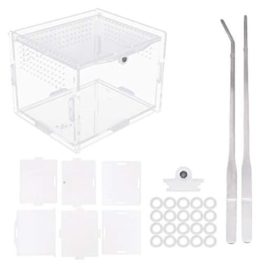 Flyan Acrylic Reptile Feeding Box 39x315x275 inch Transparent Glass Breeding Box Terrarium with 2 Pcs Straight and Curved Tweezers for Pet Insect Spider Crickets Snails Hermit Crabs Lizard