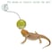 Koomduk 6 Pack Bearded Dragon Toys Balls BellBearded Dragon AccessoriesFit for Lizard Small Reptile Habitat Terrarium Tank