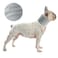 DELIFUR Dog Instant Cooling Bandana Pet Breathable Scarf Cats Ice Collar for Summer Grey M