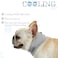 DELIFUR Dog Instant Cooling Bandana Pet Breathable Scarf Cats Ice Collar for Summer Grey M