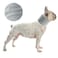 DELIFUR Dog Instant Cooling Bandana Pet Breathable Scarf Cats Ice Collar for Summer Grey M
