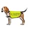 Zuo Bao Training Dog Jacket Vest Ignore Walking Slogan Warning in Training IgnoreSmall