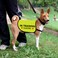 Zuo Bao Training Dog Jacket Vest Ignore Walking Slogan Warning in Training IgnoreSmall