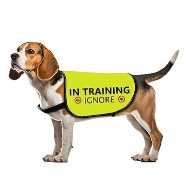 Zuo Bao Training Dog Jacket Vest Ignore Walking Slogan Warning in Training IgnoreSmall