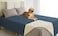 Ameritex Waterproof Dog Bed Cover Pet Blanket with AntiSlip Back for Furniture Bed Couch Sofa