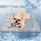 PICK FOR Cooling Blanket for Dogs 04 QMAX Dog Cooling Blanket Washable Cool to Touch Pet Blanket Cooling Comforter Throw for Bed Cover Soft Lightweight Cold Mats for Pet Summer Sleeping 3040Grey