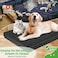LotuFlor Dog Bed Covers Replacement Washable 100 Waterproof Soft Dog Bed Sheet Black 2 Pack 20 x 30 XS