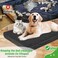 LotuFlor Dog Bed Covers Replacement Washable 100 Waterproof Soft Dog Bed Sheet Black 2 Pack 20 x 30 XS