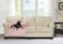 Brilliant Sunshine Premium Calming Dog Bed Mat Silky Velvet Removable Washable Cover Cushion Protector and Couch Covers for Dogs Pets Cats Medium Silver Pink