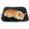 furrybaby Dog Crate Pad for Dog Cages Flat Crate Mat Kennel Pad with AntiSlip Bottom Machine Washable for Pet Bed Sleeping S 24x18 Grey Mat