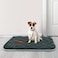 furrybaby Dog Crate Pad for Dog Cages Flat Crate Mat Kennel Pad with AntiSlip Bottom Machine Washable for Pet Bed Sleeping S 24x18 Grey Mat