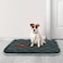 furrybaby Dog Crate Pad for Dog Cages Flat Crate Mat Kennel Pad with AntiSlip Bottom Machine Washable for Pet Bed Sleeping S 24x18 Grey Mat