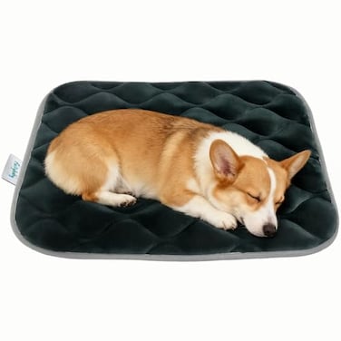 furrybaby Dog Crate Pad for Dog Cages Flat Crate Mat Kennel Pad with AntiSlip Bottom Machine Washable for Pet Bed Sleeping S 24x18 Grey Mat