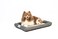 PetFusion LavenderInfused Dog Bed wCooling Solid CertiPURUS Memory Foam Crate Mat Calming Soothing AllSeason Temperature Control Cooling Mat