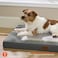 Bedsure ComfyFleece Dog Bed Medium Size Dog Orthopedic Pet Beds with Removable Washable Cover NOT Waterproof Egg Crate Foam Puppy Mat Suitable for Pet Up to 35 lbs 29x18x28 NOT for Chewers