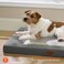 Bedsure ComfyFleece Dog Bed Medium Size Dog Orthopedic Pet Beds with Removable Washable Cover NOT Waterproof Egg Crate Foam Puppy Mat Suitable for Pet Up to 35 lbs 29x18x28 NOT for Chewers