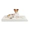 Best Pet Supplies Soft Plush Cute Indoor Dog Bed for Small Medium and Large Breeds Beige 41x29x4