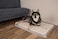 Best Pet Supplies Soft Plush Cute Indoor Dog Bed for Small Medium and Large Breeds Beige 41x29x4