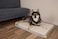 Best Pet Supplies Soft Plush Cute Indoor Dog Bed for Small Medium and Large Breeds Beige 41x29x4
