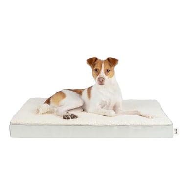 Best Pet Supplies Soft Plush Cute Indoor Dog Bed for Small Medium and Large Breeds Beige 41x29x4