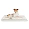 Best Pet Supplies Soft Plush Cute Indoor Dog Bed for Small Medium and Large Breeds Beige 41x29x4