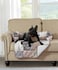 Brilliant Sunshine Quilted Calming Dog Bed Mat Removable Washable Cover Cushion Protector and Couch Covers for Dogs Pets Cats Medium Latte Grey Paris and Toile Floral Patchwork