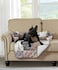 Brilliant Sunshine Quilted Calming Dog Bed Mat Removable Washable Cover Cushion Protector and Couch Covers for Dogs Pets Cats Medium Latte Grey Paris and Toile Floral Patchwork