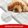 Moonsea Dog Bed Crate Mat30 X 19 Soft Plush Dog Bed Pad Machine Washable Crate Pad Sleeping Mat with Anti Slip Bottom